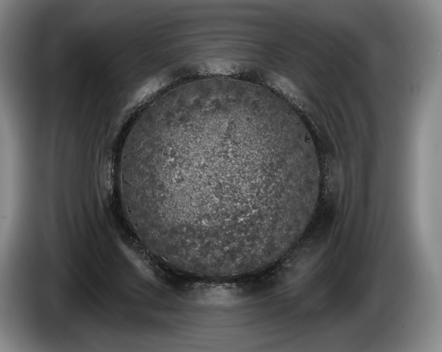 X0000085000683200703121501