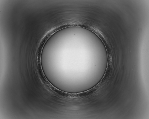 X0000085000684200703121501