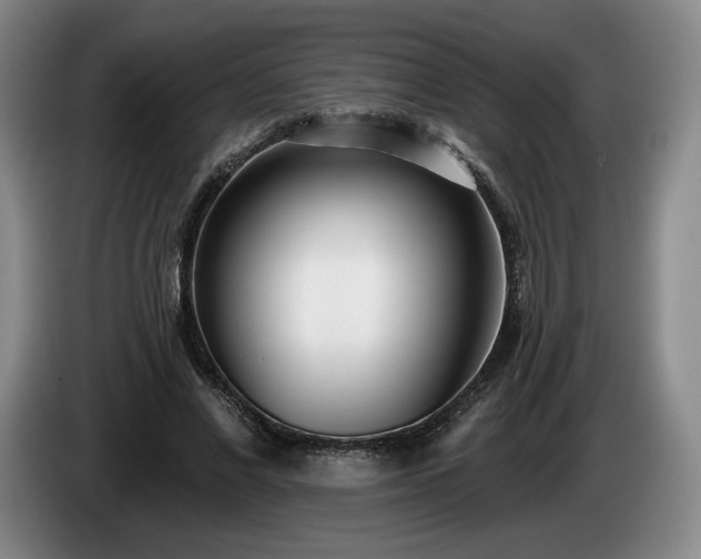 X0000085000685200703121501