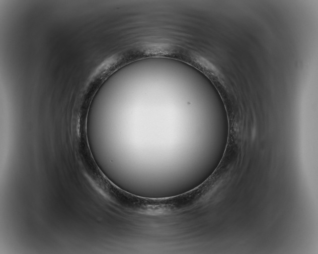 X0000085000686200703121501