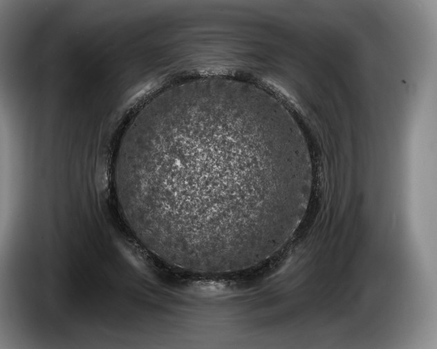 X0000085000687200703121501