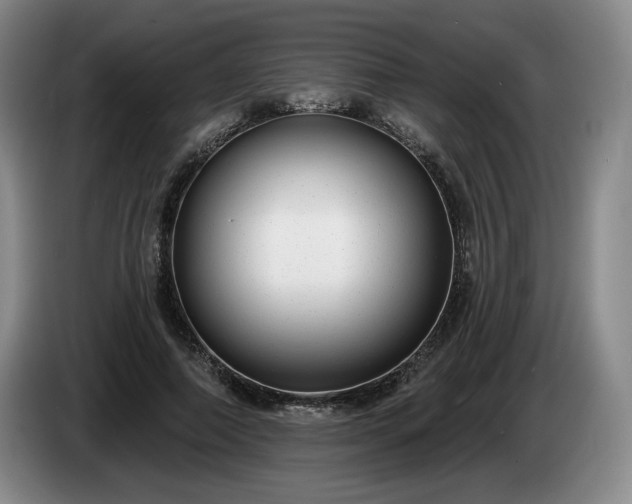 X0000085000690200703121501