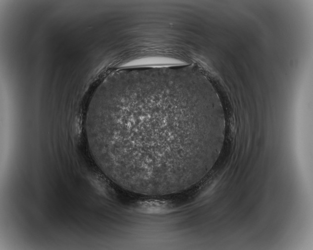 X0000085000691200703121501