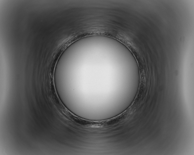 X0000085000692200703121501