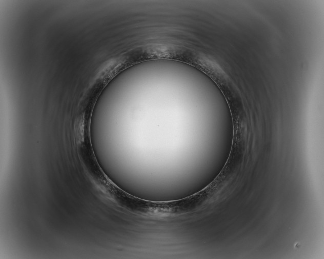 X0000085000694200703121501