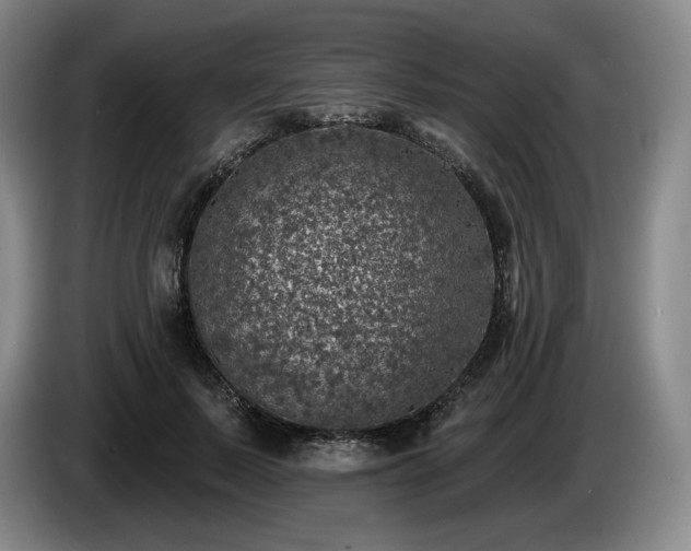 X0000085000695200703121501