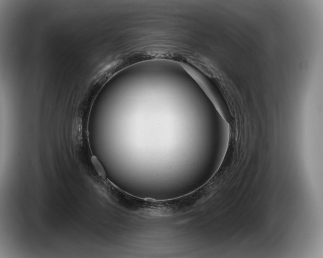 X0000085000696200703121501