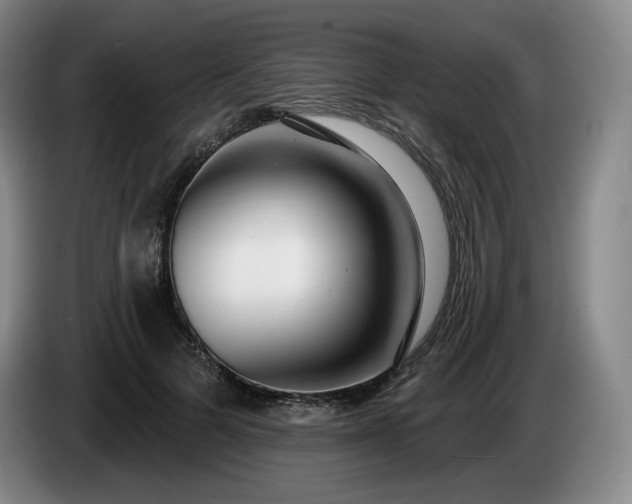 X0000085000697200703121501