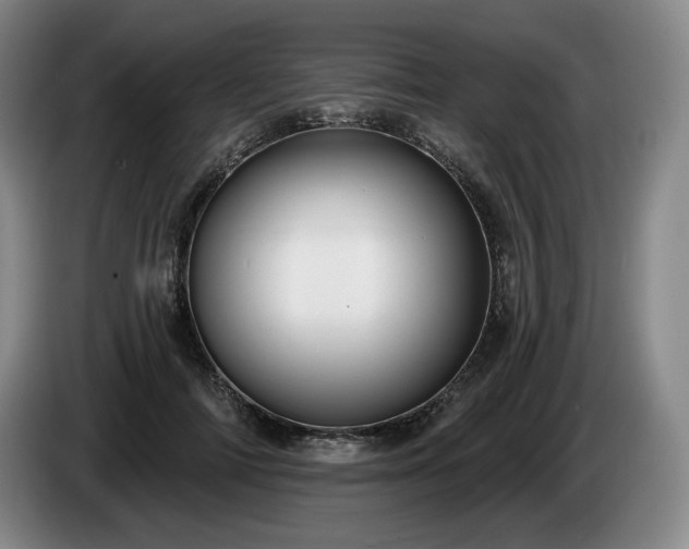 X0000085000698200703121501