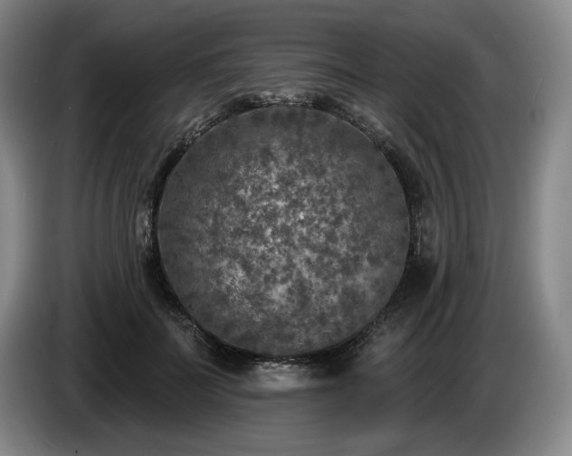 X0000085000699200703121501