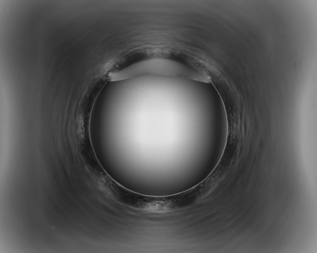 X0000085000700200703121500