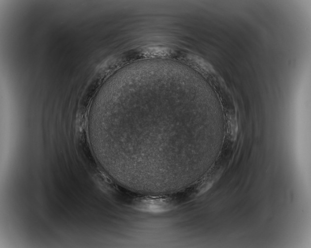 X0000085000701200703121500