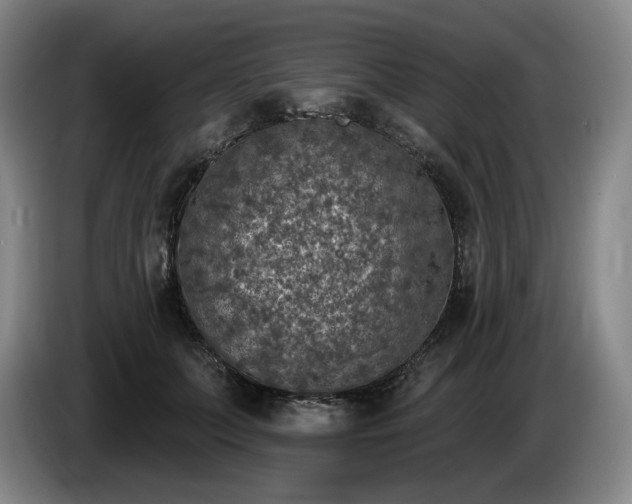 X0000085000703200703121500