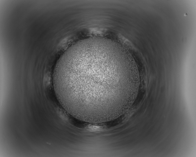 X0000085000706200703121500