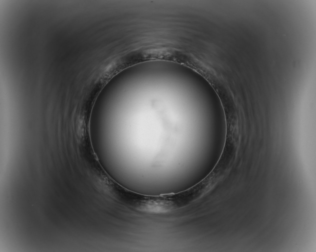 X0000085000708200703121500