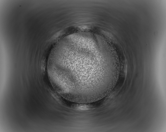 X0000085000710200703121500