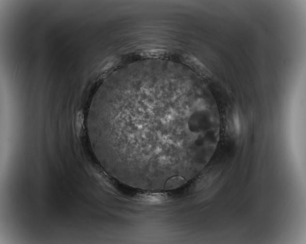 X0000085000711200703121500