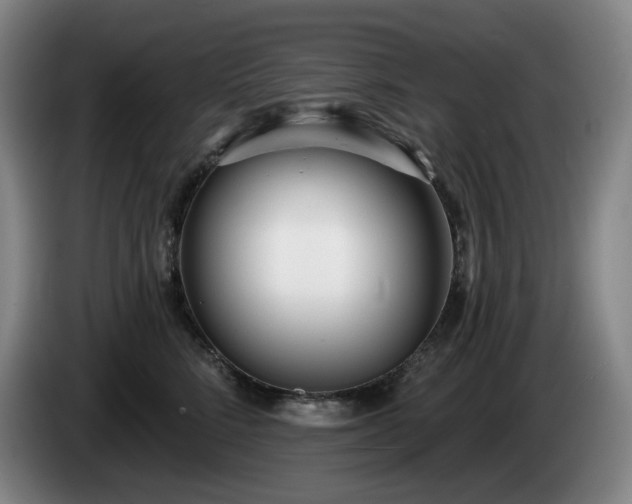 X0000085000712200703121500