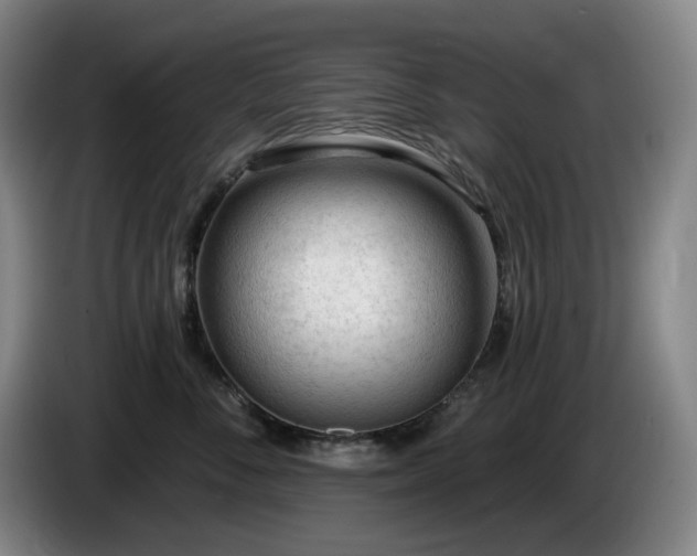 X0000085000716200703121500