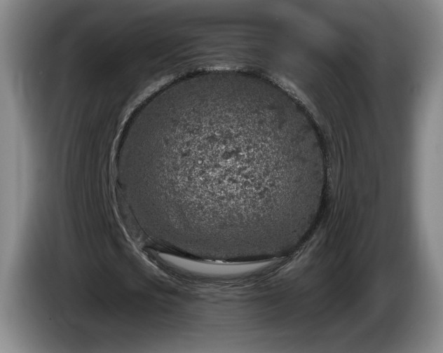 X0000085000721200703121500