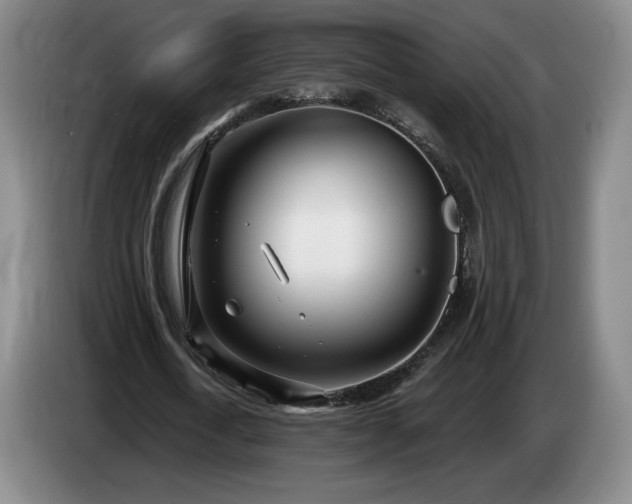 X0000085000722200703121500