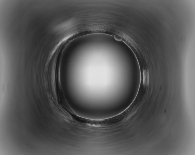 X0000085000723200703121500