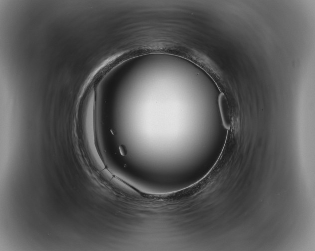 X0000085000724200703121500