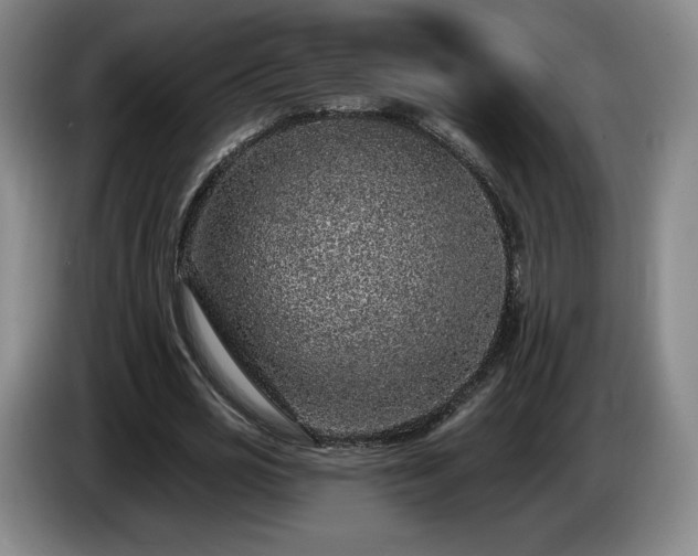 X0000085000725200703121500