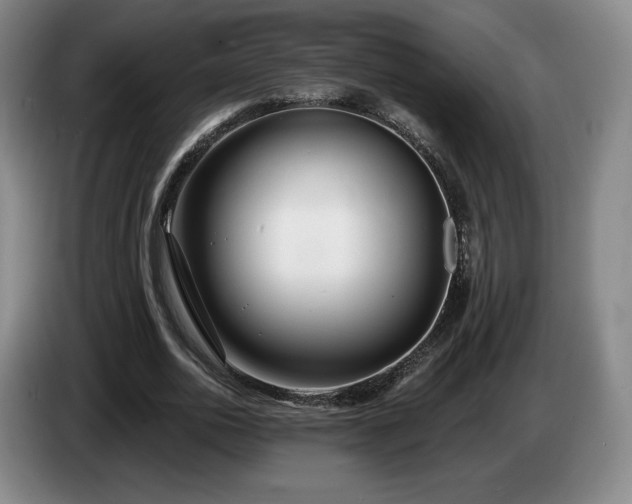 X0000085000726200703121500