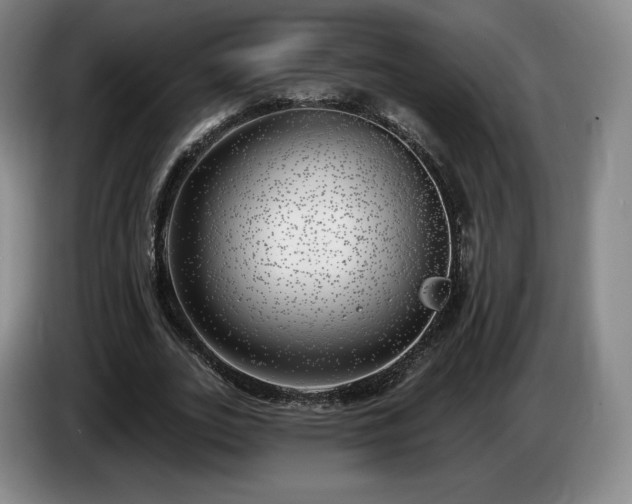 X0000085000727200703121500