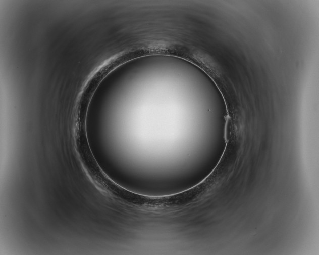 X0000085000728200703121500