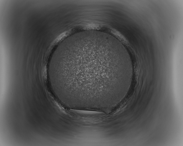 X0000085000729200703121500