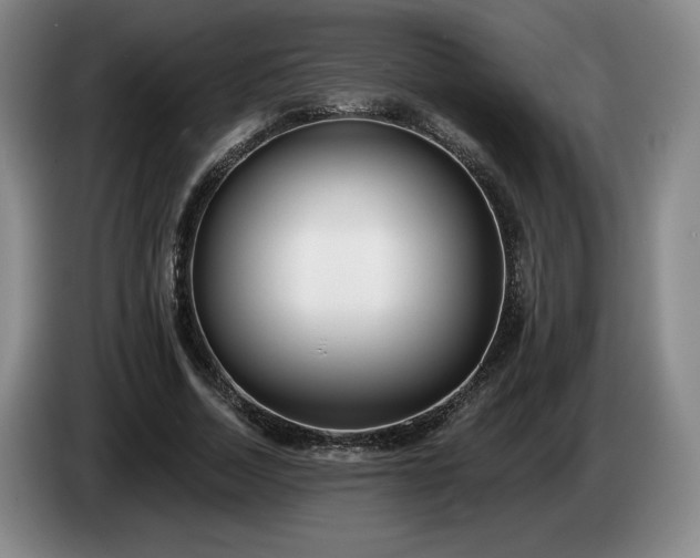 X0000085000730200703121500