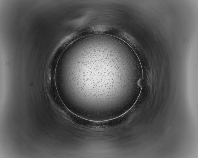 X0000085000731200703121500