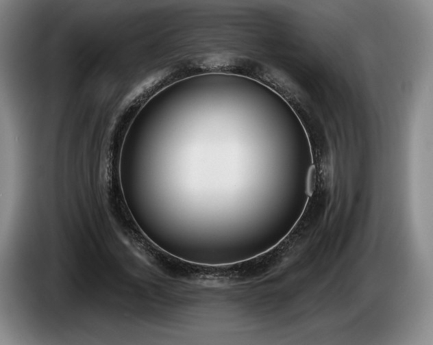 X0000085000732200703121500