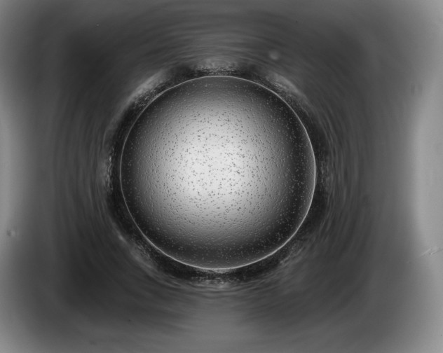 X0000085000735200703121500