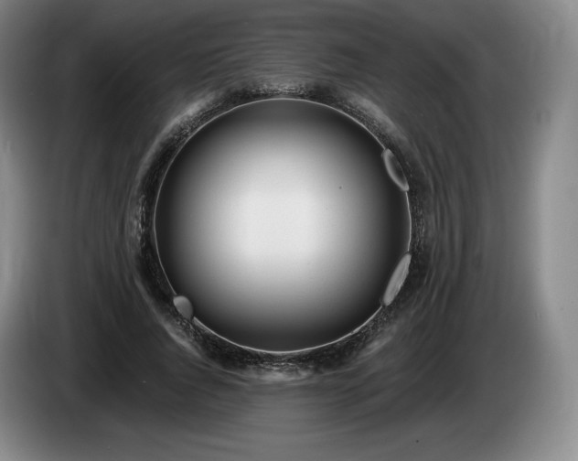 X0000085000736200703121500