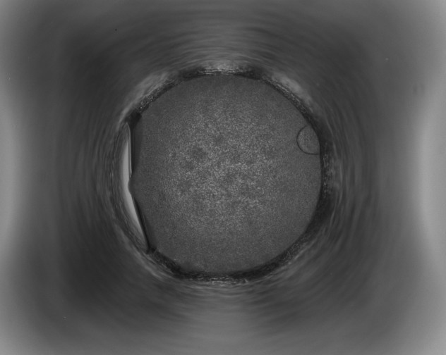 X0000085000738200703121500