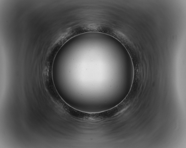 X0000085000739200703121500