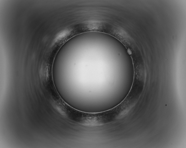 X0000085000740200703121500