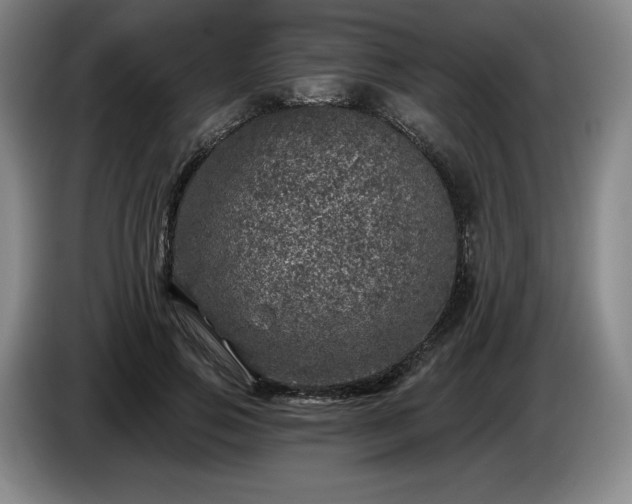 X0000085000741200703121500