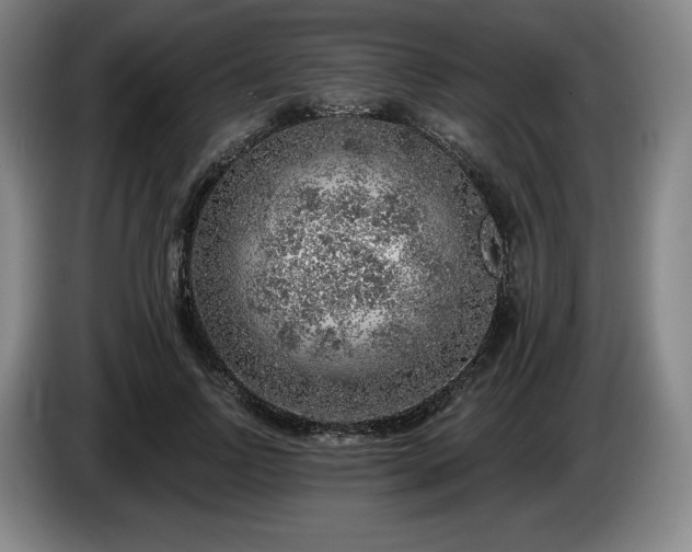 X0000085000742200703121500