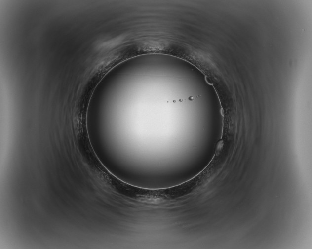 X0000085000743200703121500