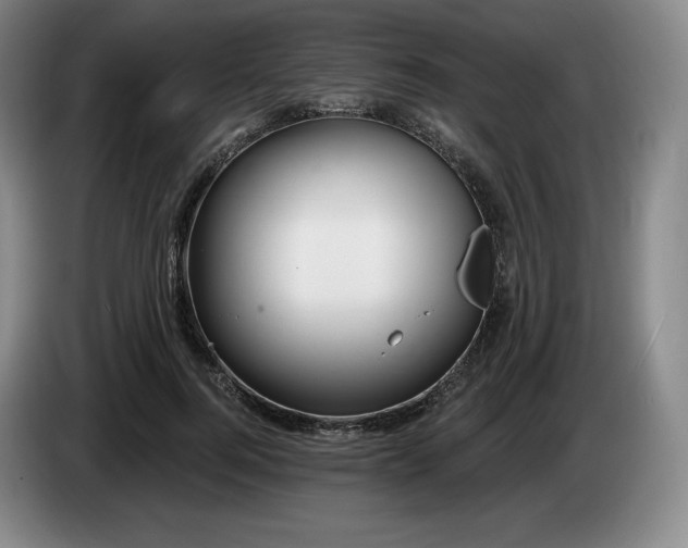 X0000085000744200703121500