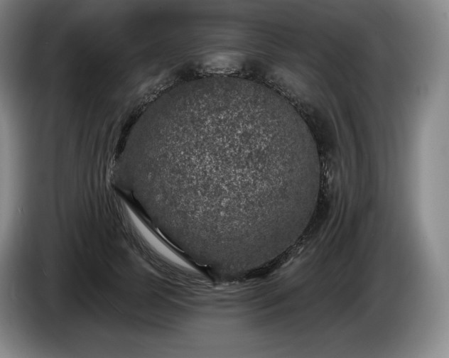 X0000085000745200703121500