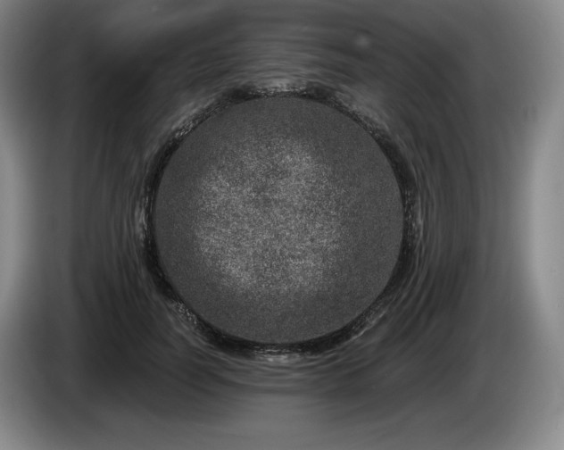 X0000085000746200703121500