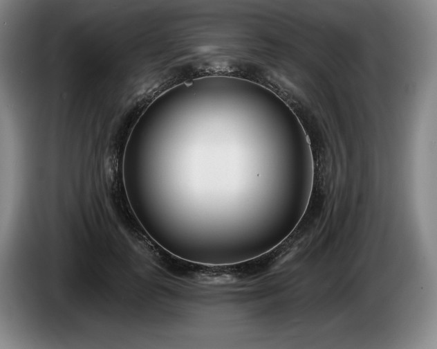 X0000085000747200703121500