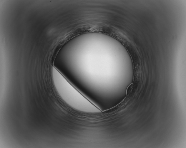 X0000085000748200703121500