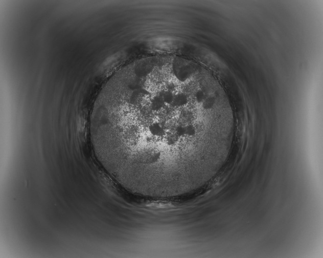 X0000085000749200703121500