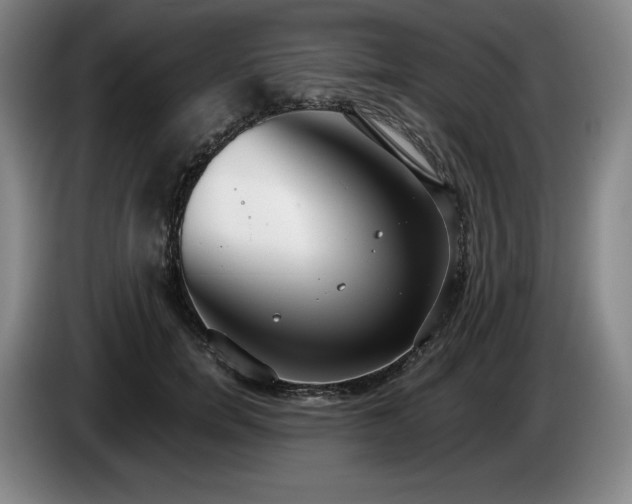 X0000085000750200703121500